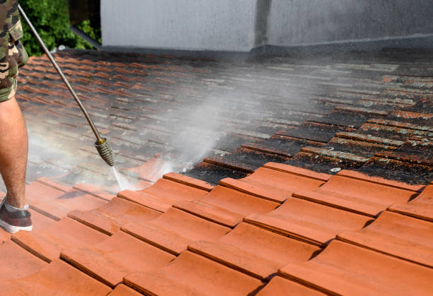 Best Local Pressure Washing Services  in Sartell, MN