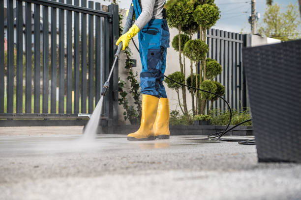 Best Pressure Washing Driveway  in Sartell, MN
