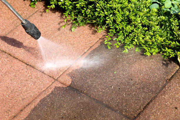 Best Pressure Washing Company Near Me  in Sartell, MN